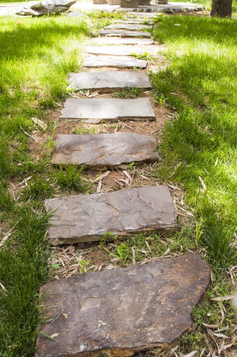 PATH STEPS dreamstime_m_41286189